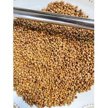 Bibit Tumbuhan Calopogonium mucunoides (CM) benih biji